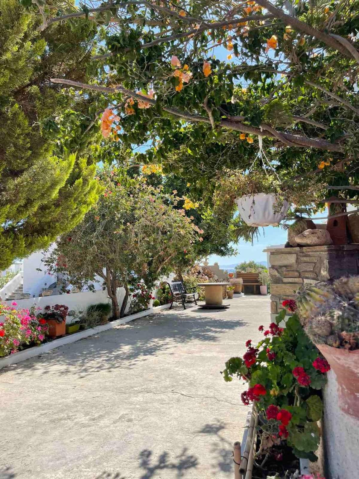 Matina'S Vineyard Hotel Mikri Vigla Exterior photo